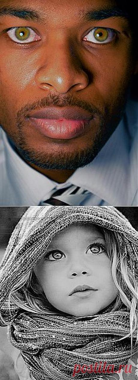 portrait | Windows to the Soul