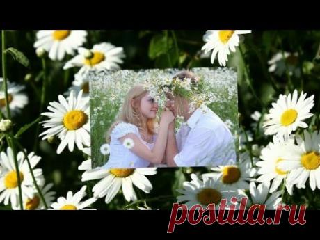 Ромашки цветы - YouTube