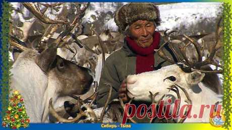 Тыва