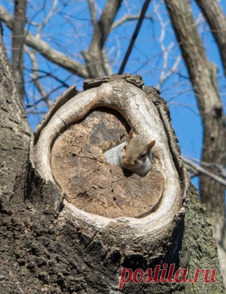 Фотоподборка за 20.01.2015