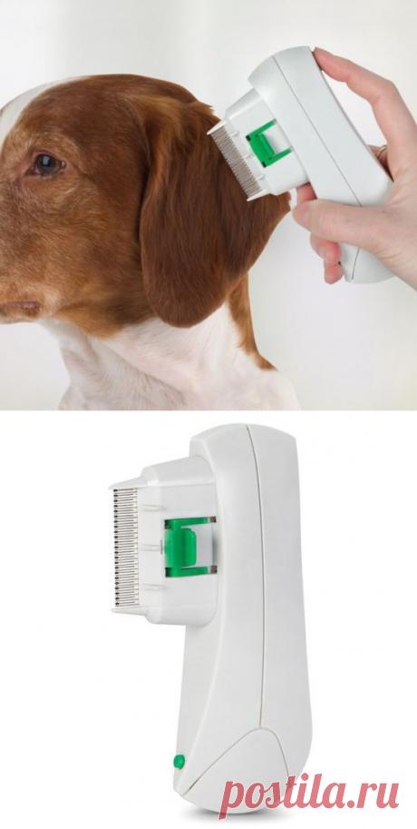 Антиблошиное устройство Pet Comb купить, цены, отзывы, фото, видео | Goodsi.ru