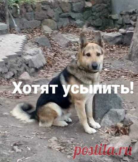 Владимир Брызгунов | Facebook
