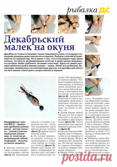 Декабрьский малек на окуня