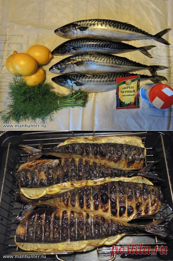 >Все на пикник-готовим скумбрию на гриле
