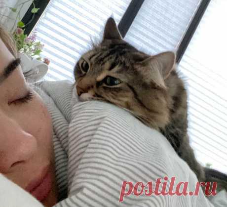 20+ питомцев, которые смотрят на своих хозяев взглядом, проникающим прямо в душу | AdMe Пульс Mail.ru