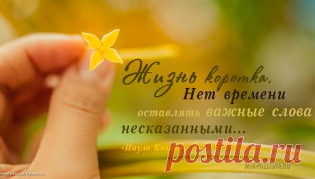 Мудрые, позитивные и короткие высказывания о жизни великих людей