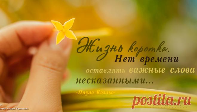 Мудрые, позитивные и короткие высказывания о жизни великих людей