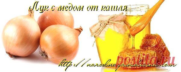 Помогает ли лук с медом от кашля? Народные рецепты от кашля. | Блог Алёны Кравченко