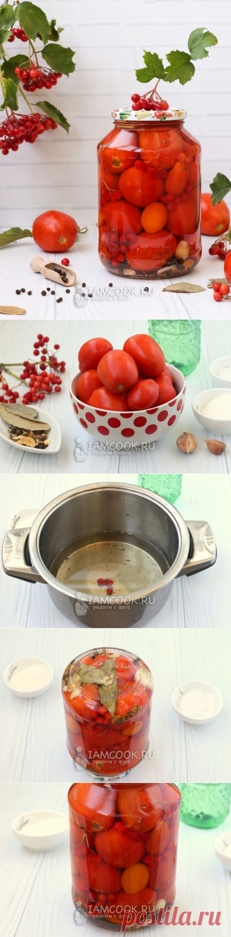 Маринованные помидоры с калиной — рецепт с фото пошагово