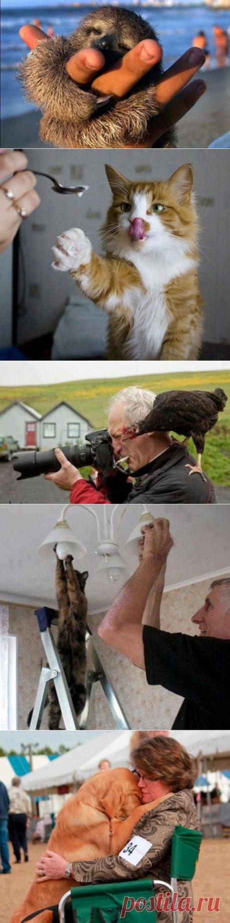 Пока мы люди, одиночество нам не грозит!.