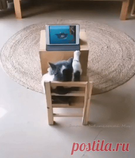 Ну что ещё!?