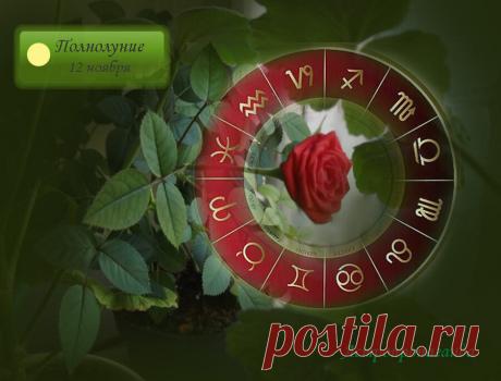 Гороскоп на неделю с 11.11 по 17.11.2019 | Астропропаганда | Яндекс Дзен
✨ Автор: астролог Нина Стрелкова. ✧ Недельный гороскоп с 11.11 по 17.11.2019 ✧ Неделя совсем не подходит для новых дел, особенно требующих энергичности и коммуникабельности. В это время лучше продолжать и завершать уже начатое. Неделя хороша для самостоятельного обучения, перепроверки и систематизации полученных ранее знаний, исправления допущенных когда-то ошибок. И все это делать не спеша, чтобы не наделать новых ошибок