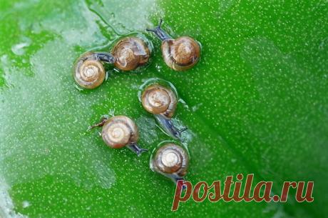 Яркие фотографии Николая Кузнецова — Фотоискусство