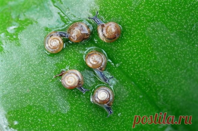 Яркие фотографии Николая Кузнецова — Фотоискусство