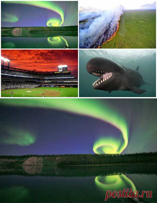 Фотографии, которые потрясли мир / Всё самое лучшее из интернета
