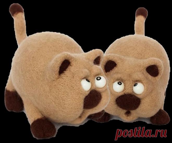 ИТОГИ ВТОРОЙ НЕДЕЛИ ДКИ