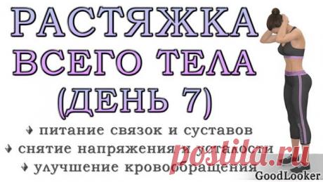 Простая растяжка для всего тела на 30 минут Тренировку на растяжку необходимо выполнять всем, кто хочет сохранить здоровыми суставы и позвоночник. Предлагаем вам готовый комплекс упражнений для новичков из статической растяжки, который состоит ...