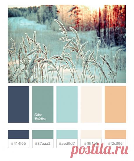 20 готовых новогодних и рождественских цветовых палитр/