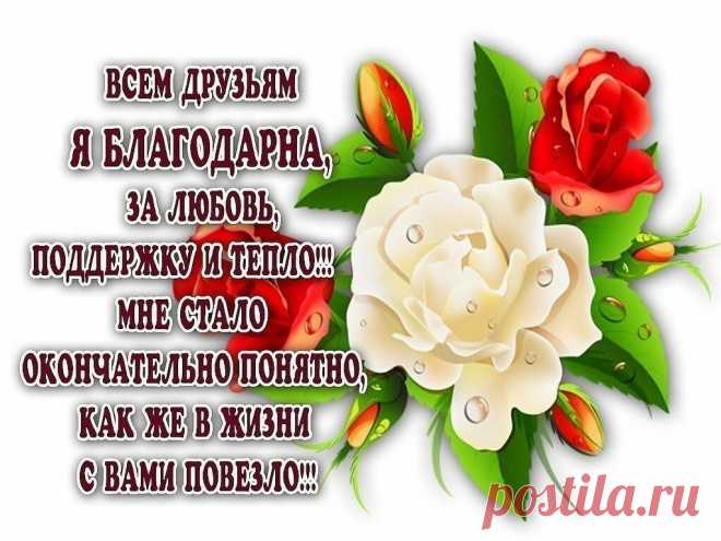 СПАСИБО ЗА ДРУЖБУ! | Бесплатные открытки/поздравления | Яндекс Дзен