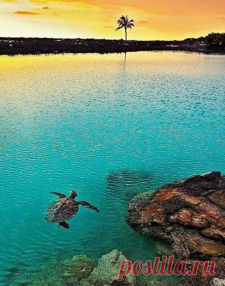 Beautiful Hawaii | Places of Beauty