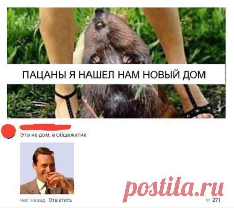 Это не дом, а общежитие - Фото скачать - Картинка - Фотоприколы