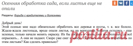 Осенняя обработка сада, если листья еще не опали / Асиенда.ру