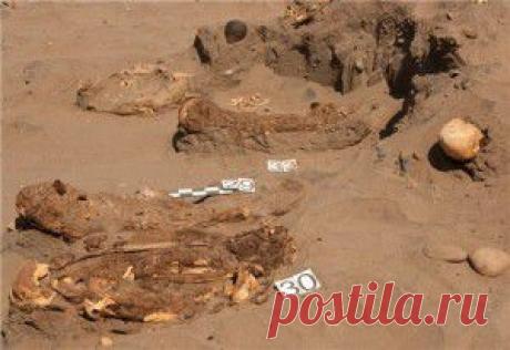 Позитивные цветочные горшочки