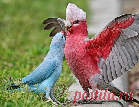 Мой Мир@Mail.Ru