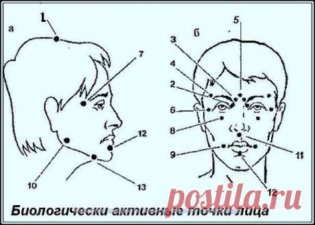 Биологически активные точки на голове - ваша скорая помощь !