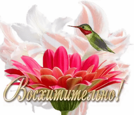 Книги — корабли мысли, странствующие по волнам времени и бережно несущие свой драгоценный груз от поколения к поколению. © Фрэнсис Бэкон #ФрэнсисБэкон | Вступай в группу Литературный салон…