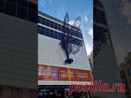 БАБОЧКА НА ЗДАНИИ. BUTTERFLY ON A BUILDING