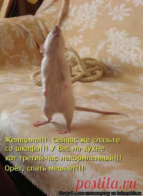 Улыбнись!