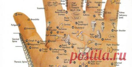 Волшебные хлопки и удары - Образованная Сова