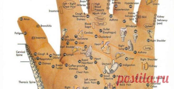 Волшебные хлопки и удары - Образованная Сова