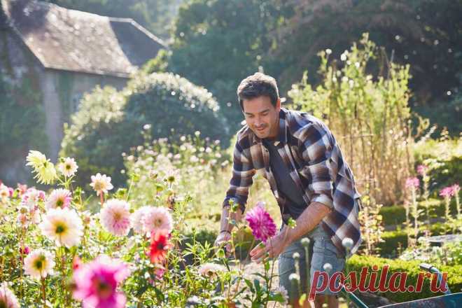 Üppige Blumenpracht: Diese Pflanzen blühen den ganzen Sommer lang | WEB.DE