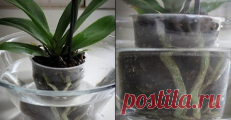 (93) Наталия Попова - Наталия Попова поделилась ссылкой.