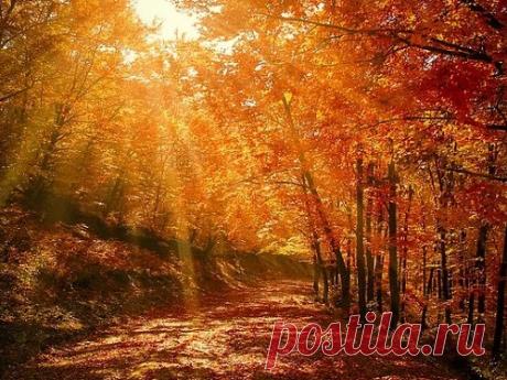 День осеннего равноденствия- 23.09.2019 г Один из самых важных дней осени — день равноденствия. Он обладает особой энергетикой, которая несет людям добро, позитив и приятные изменения. С осенним равноденствием связано множество традиций и примет.