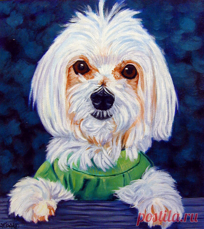 My sweater - Maltese Dog by Lyn Cook My sweater - Maltese Dog Painting by Lyn Cook