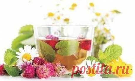 Хеликобактер пилори - причины, симптомы, диагностика и лечение