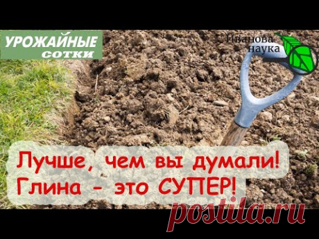 ВСЕГО 1 стакан раскроет ПОТЕНЦИАЛ тяжелой глинистой почвы! Сделайте так - и собирайте урожай!