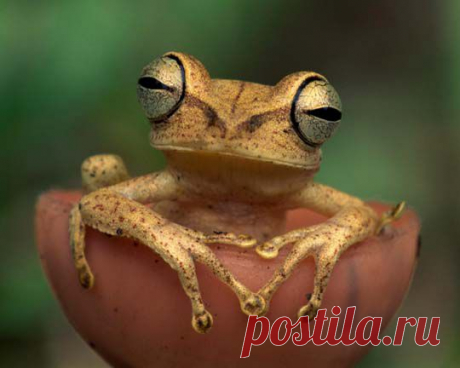 =========