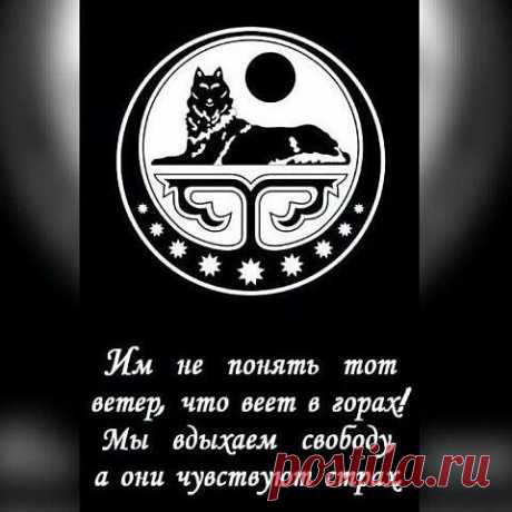 (3) Одноклассники