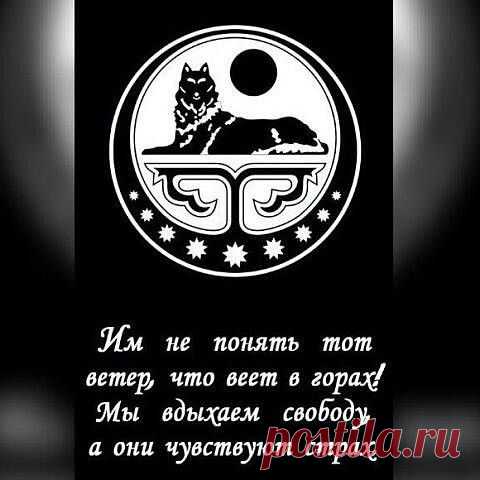 (3) Одноклассники