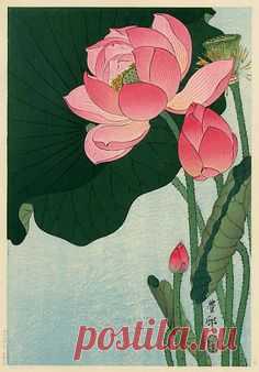 Ohara Koson (1877-1945) | 