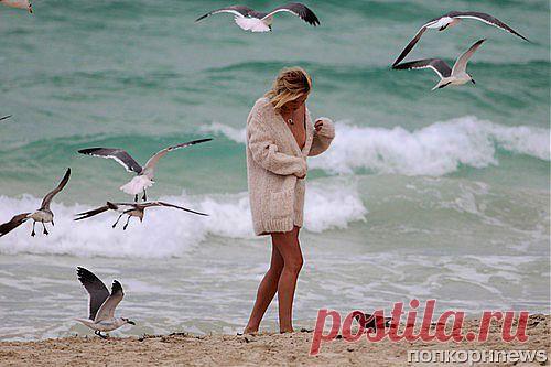 Океан, чайки и красавица, мечта...