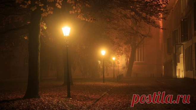 Пин на доске autumn