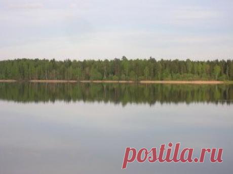 Ловля на светонакопительный пилькер | Рыбалка в Марий Эл  .Пилькер –является разновидностью блесен вертикального планирования .То есть при попадании приманки в воду происходит удаление приманки на различные расстояния от оси .Существует и второй вид вертикальных блесен так называемые <гвоздики> с минимальным отклонением от вертикали.