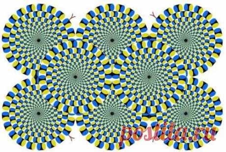 Тест. Эту иллюзию-тест изобрел японский психиатр. Он утверждает, что иллюзия неподвижна для спокойных, уравновешенных людей...