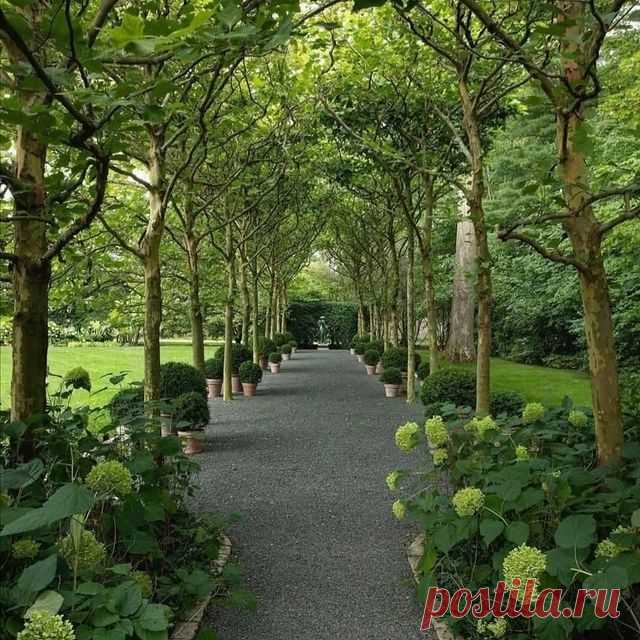 Photo by Gardening Magics on January 07, 2022. May be an image of tree and nature.