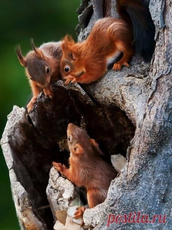 А вы слыхали последние новости?